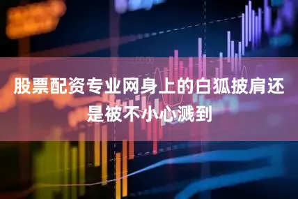 股票配资专业网身上的白狐披肩还是被不小心溅到