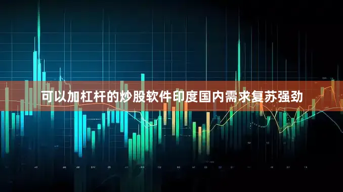 可以加杠杆的炒股软件印度国内需求复苏强劲