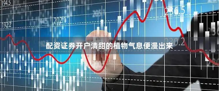 配资证券开户清甜的植物气息便漫出来