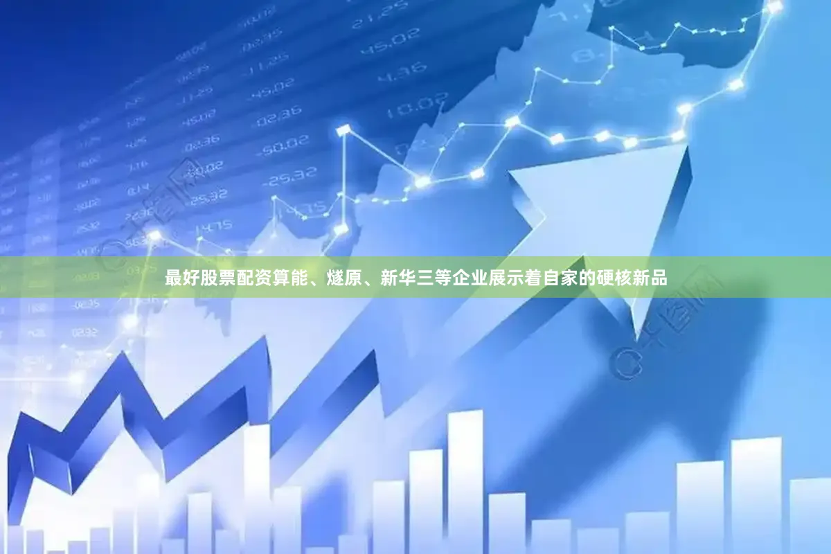 最好股票配资算能、燧原、新华三等企业展示着自家的硬核新品